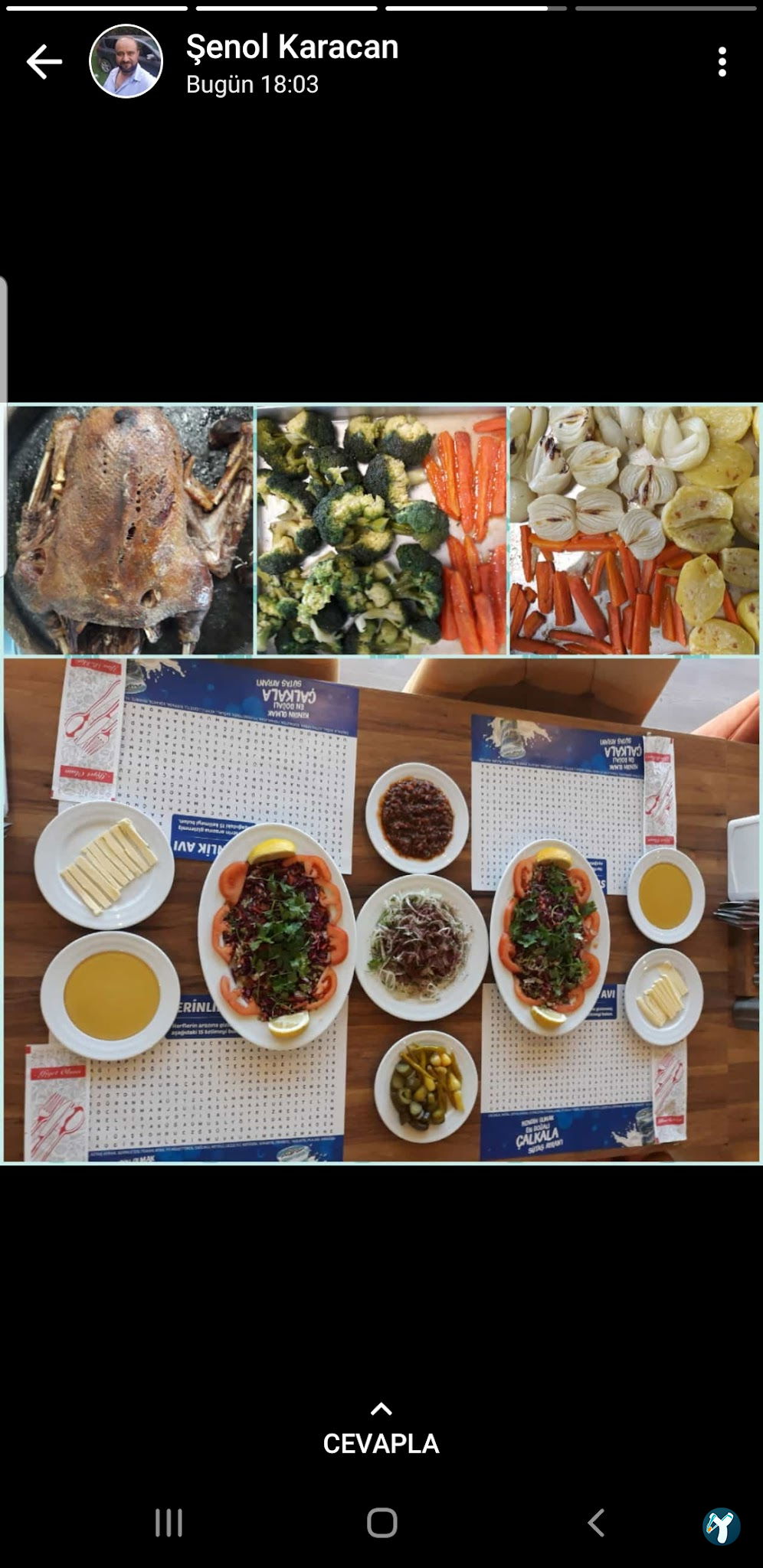 Şenol Restaurant
