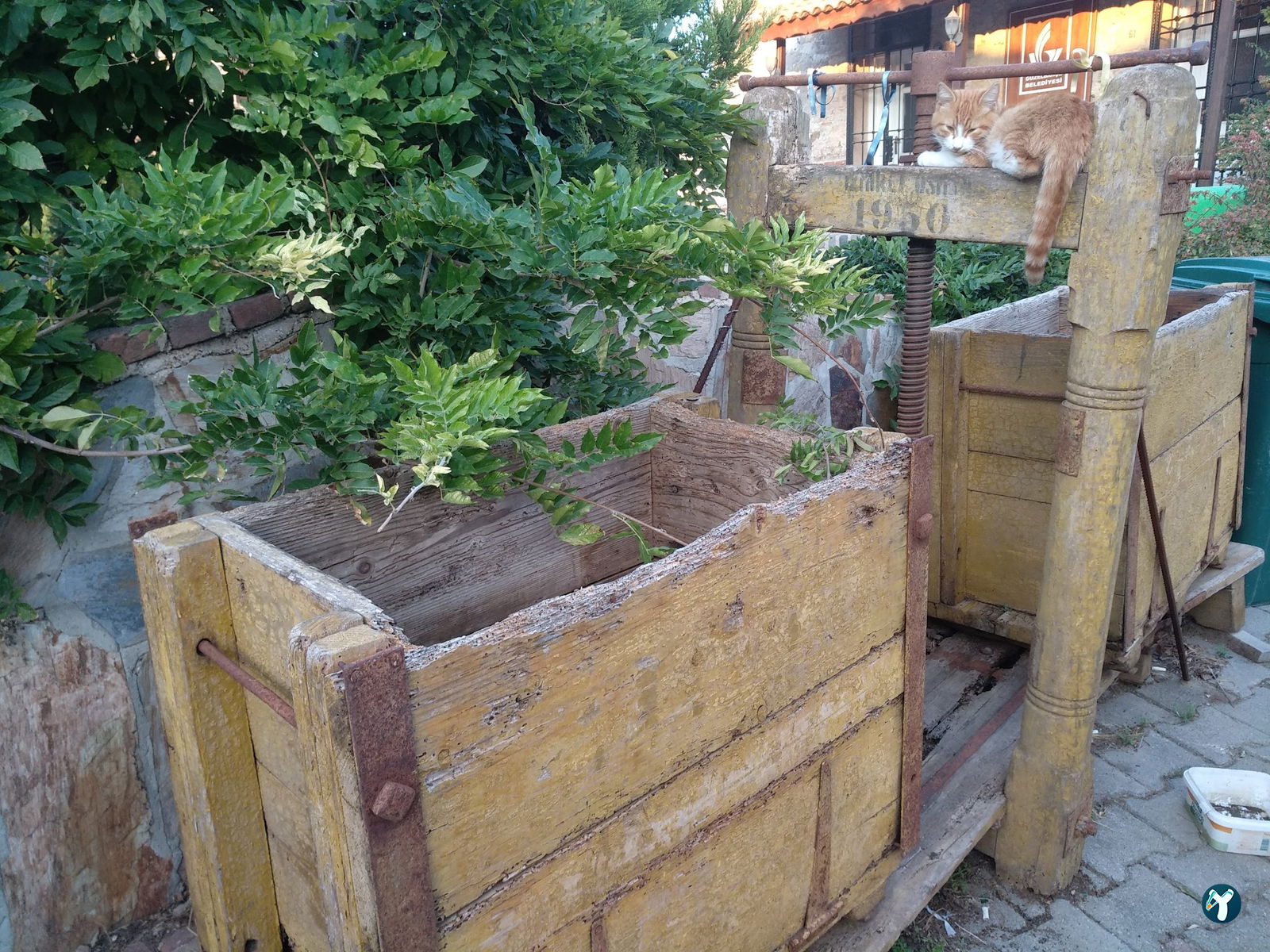 Ayşe Bacı Gözleme