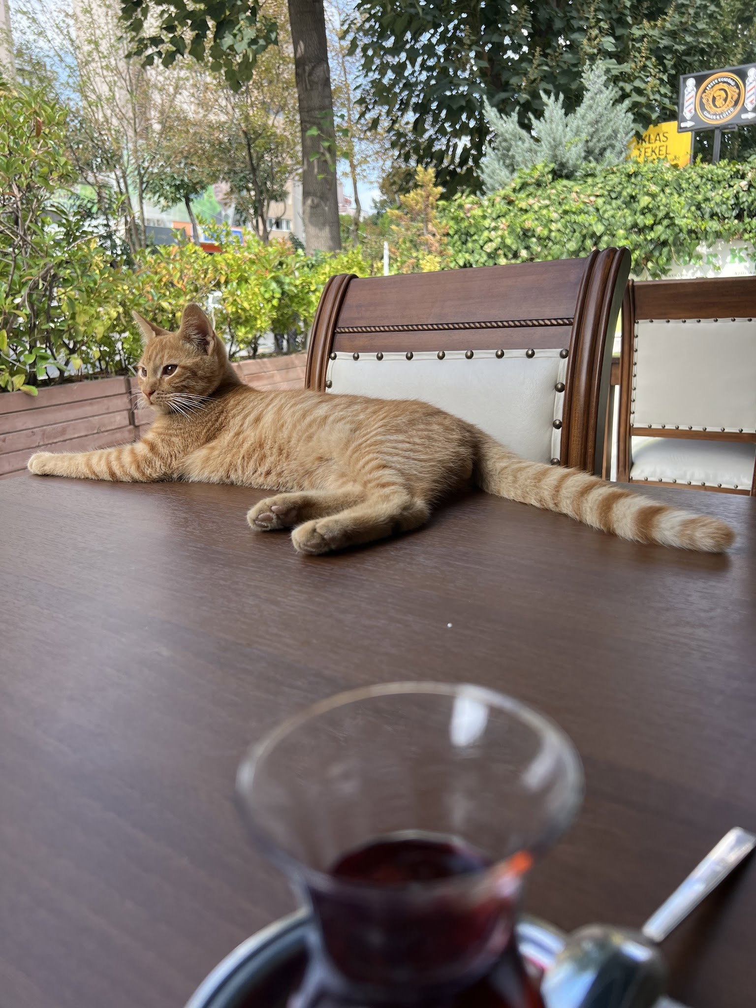 Cagdas Iskender & Kebap