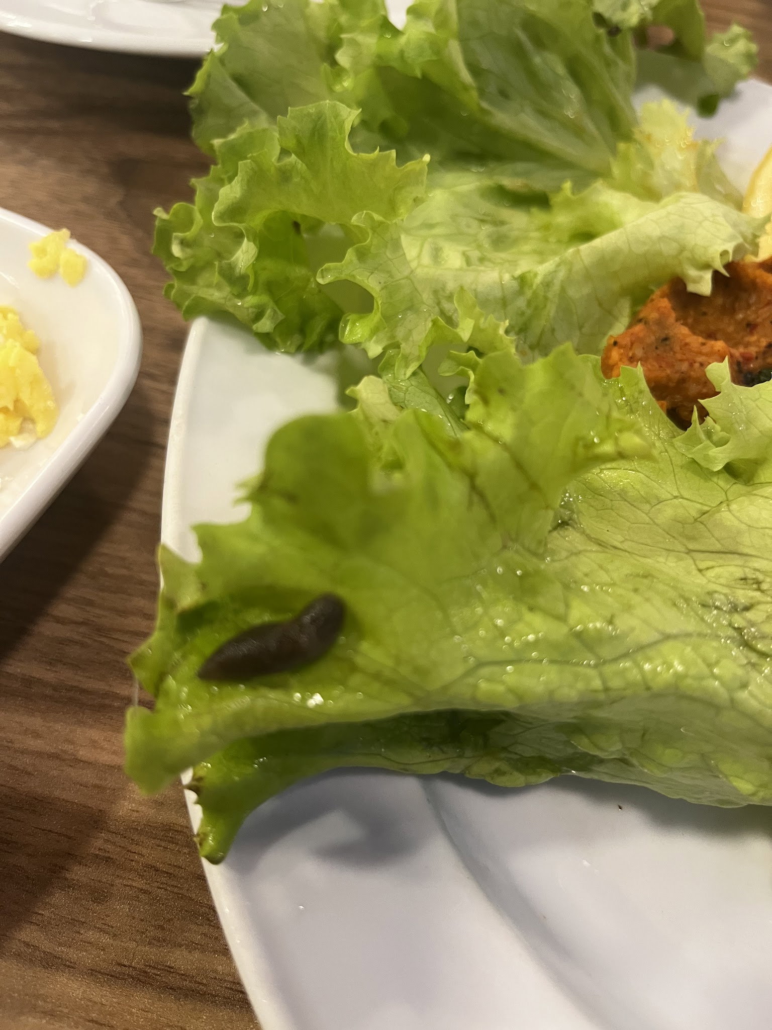 Cagdas Iskender & Kebap