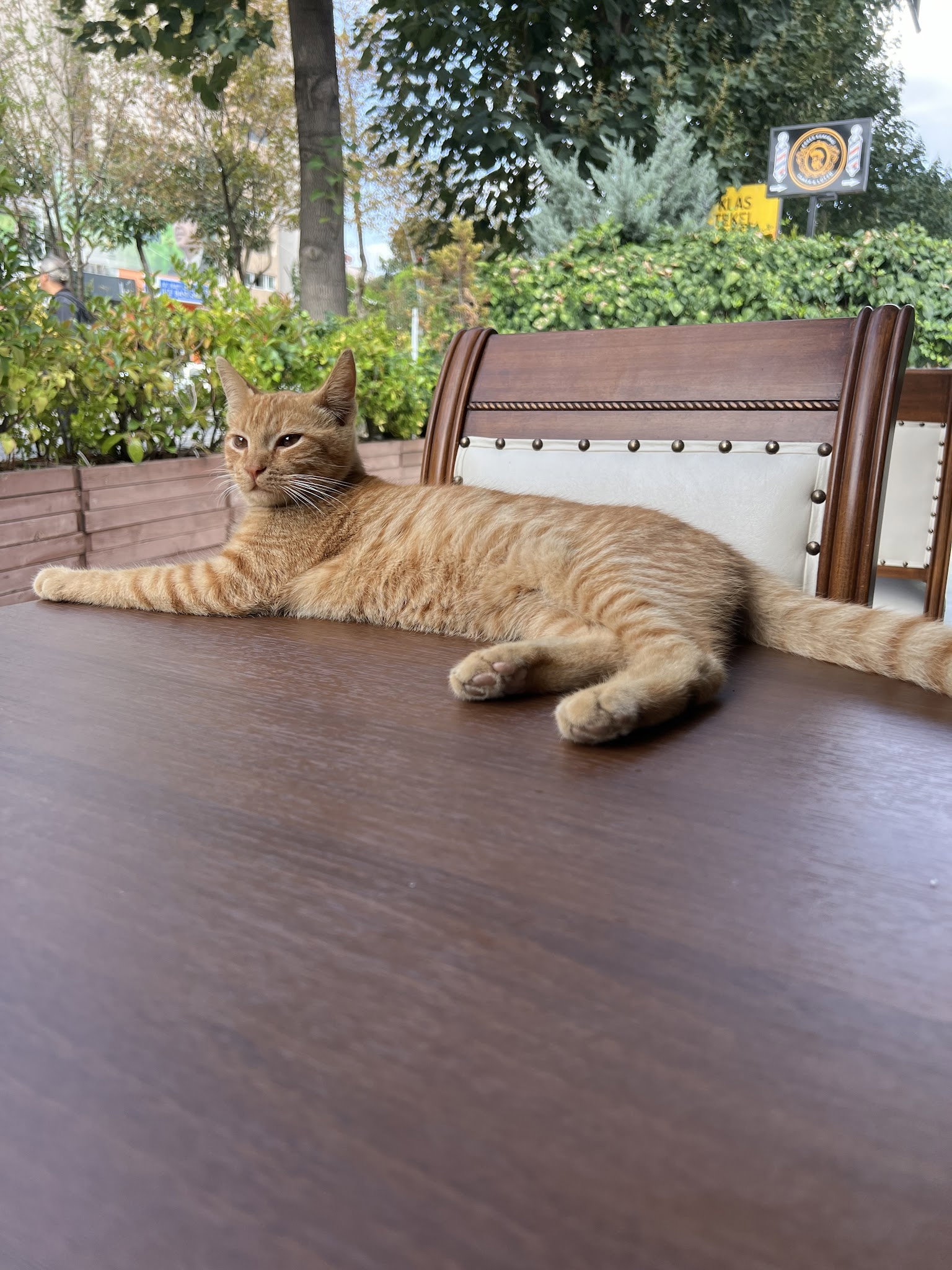 Cagdas Iskender & Kebap