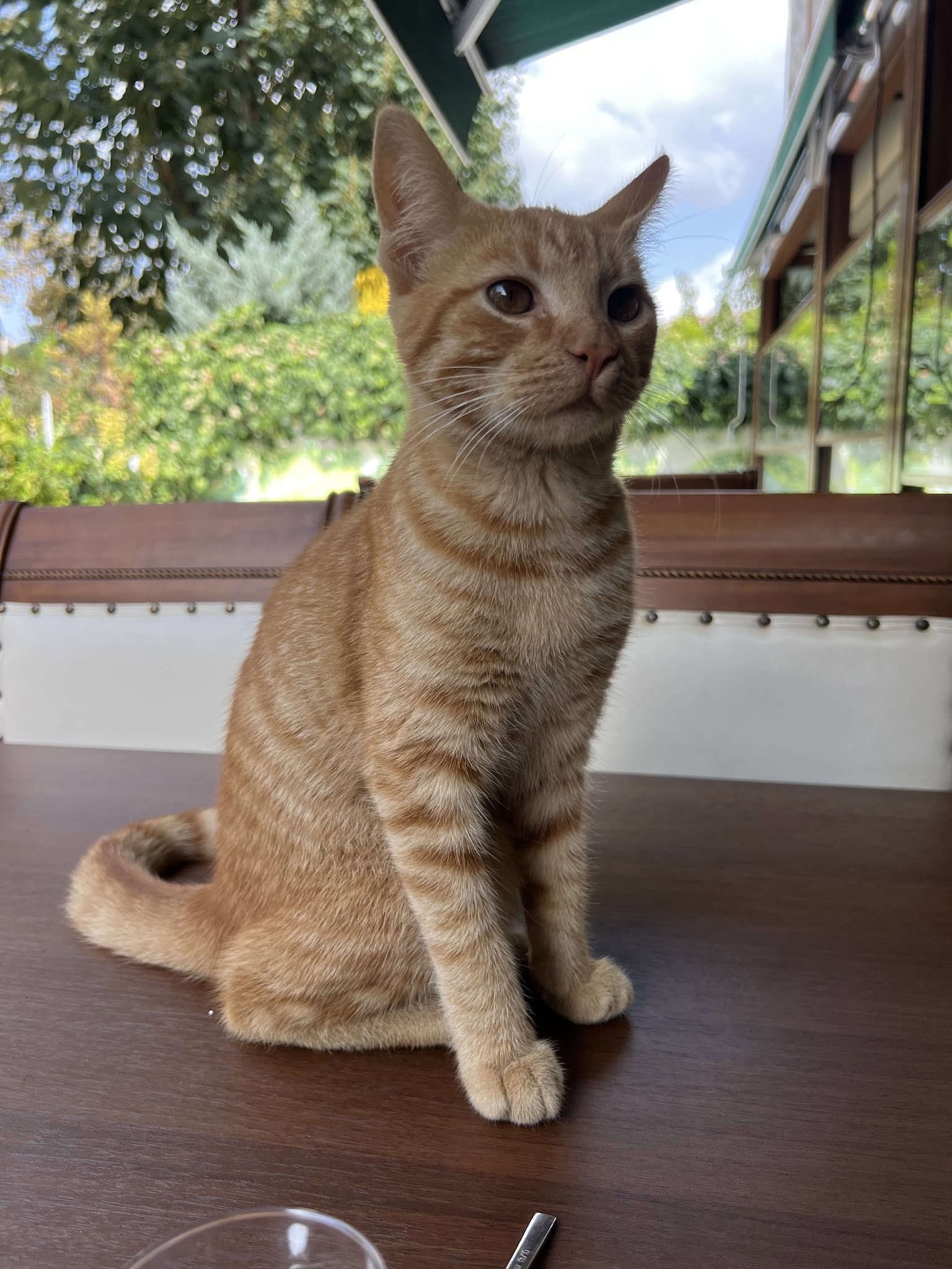 Cagdas Iskender & Kebap