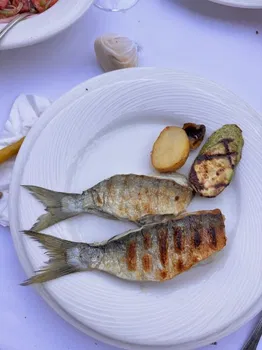 Calipso Fish resimleri