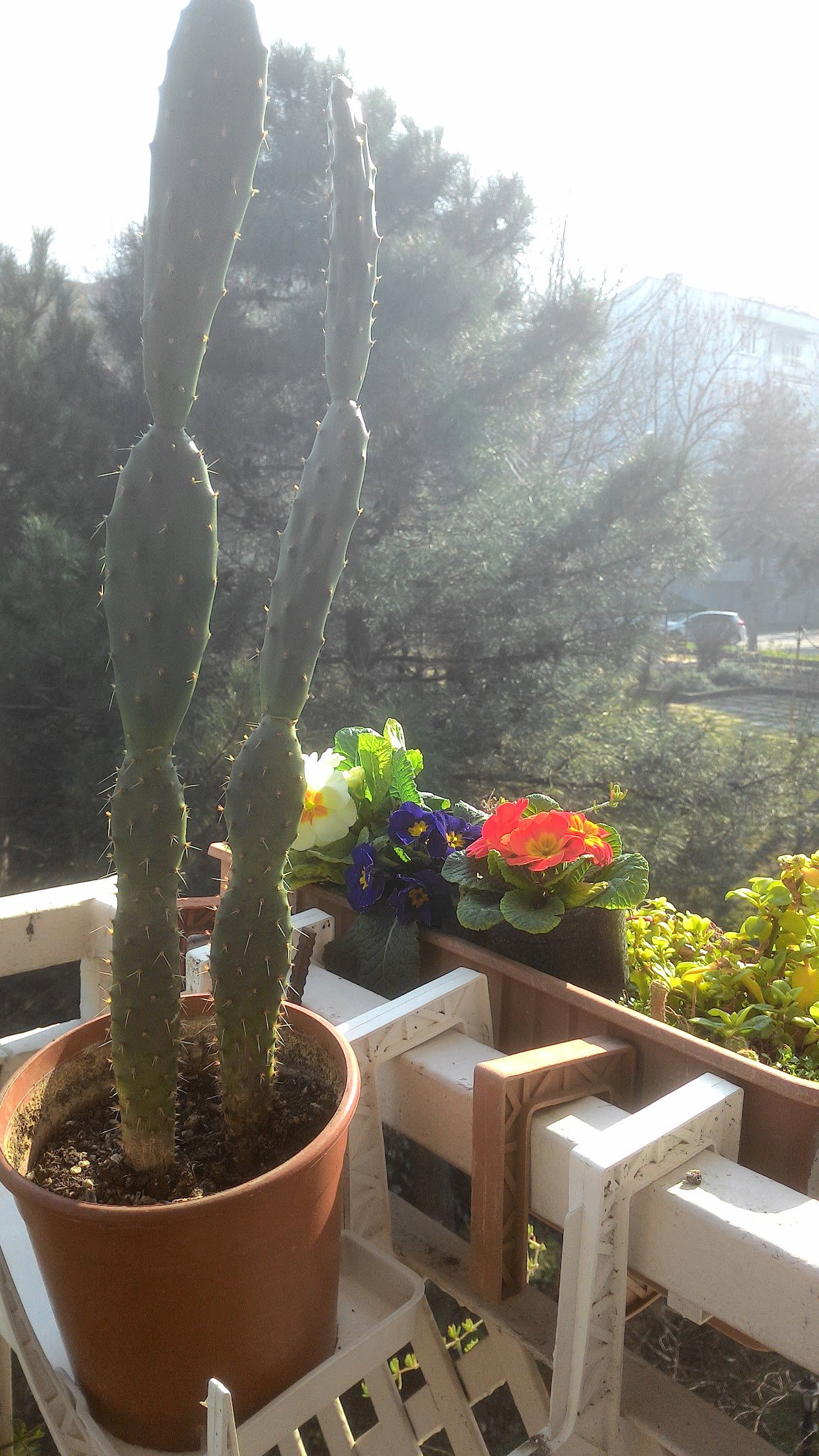 Öz Urfa Konak Kebap