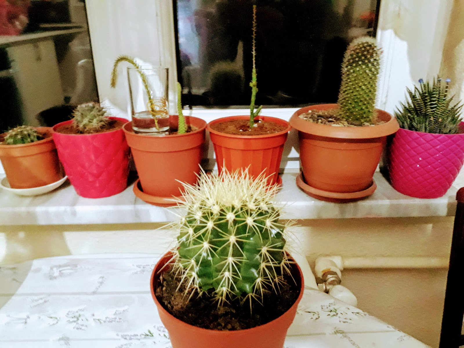 Öz Urfa Konak Kebap