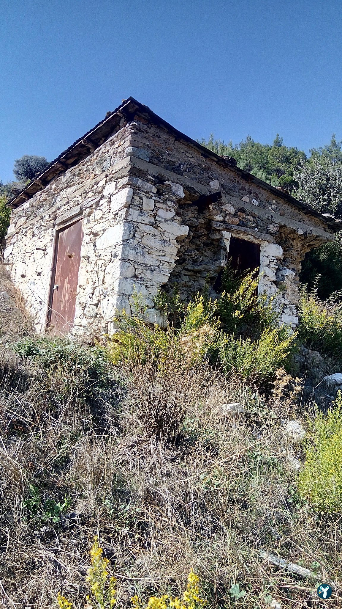 Yasi̇n Başkanin Yeri̇