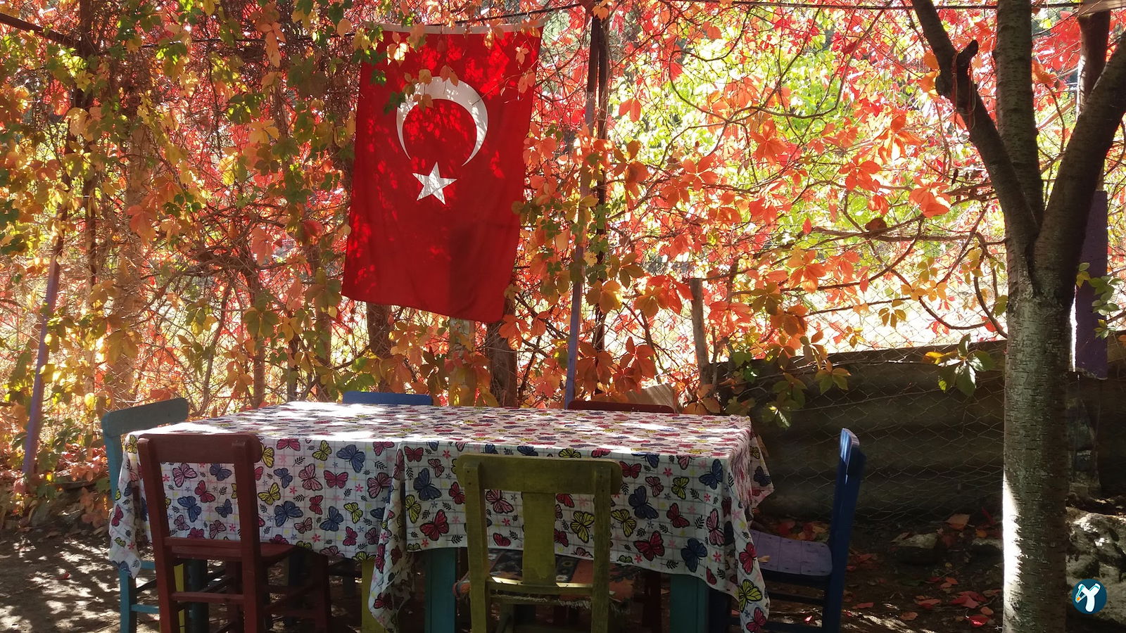 Yasi̇n Başkanin Yeri̇