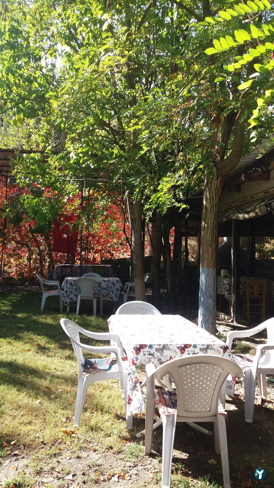 Yasi̇n Başkanin Yeri̇