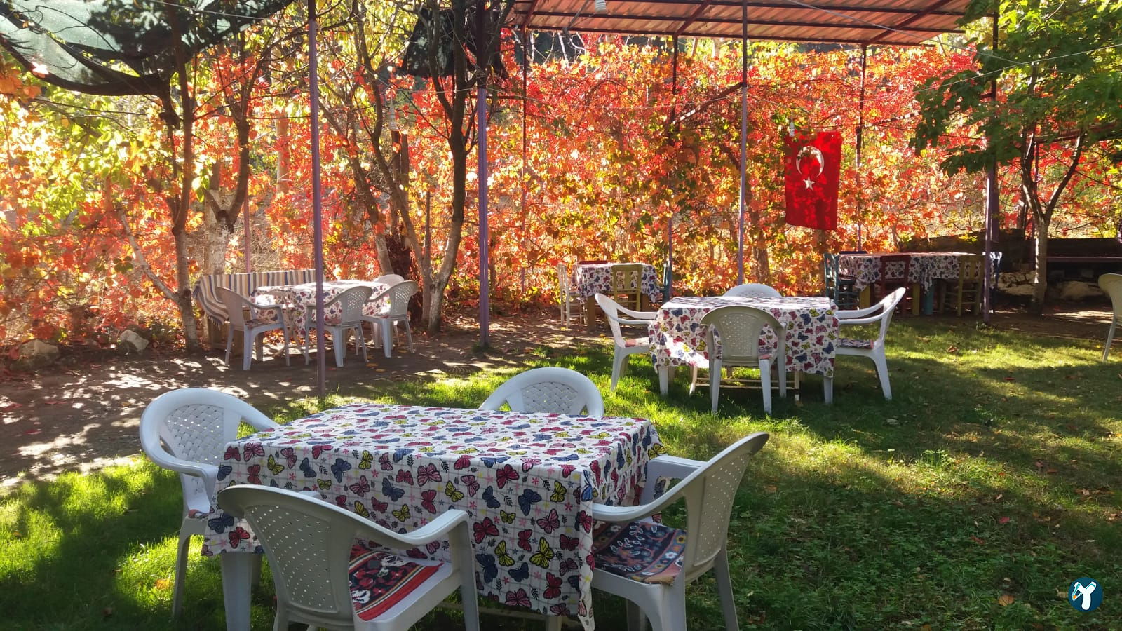 Yasi̇n Başkanin Yeri̇