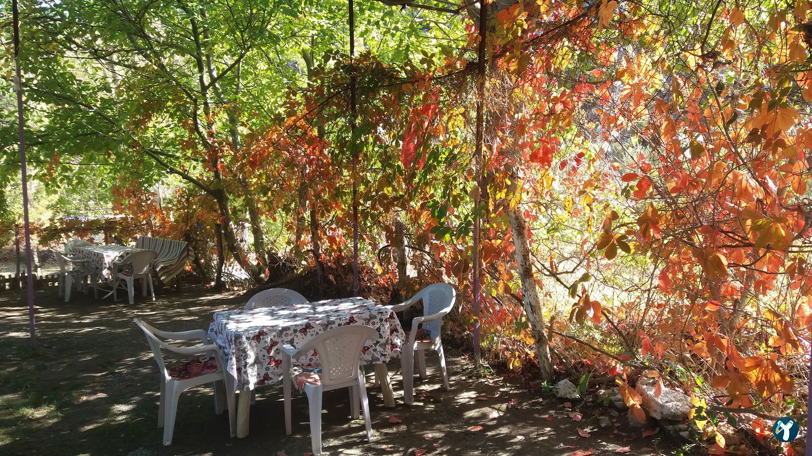 Yasi̇n Başkanin Yeri̇