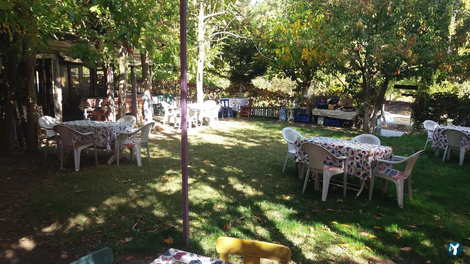 Yasi̇n Başkanin Yeri̇