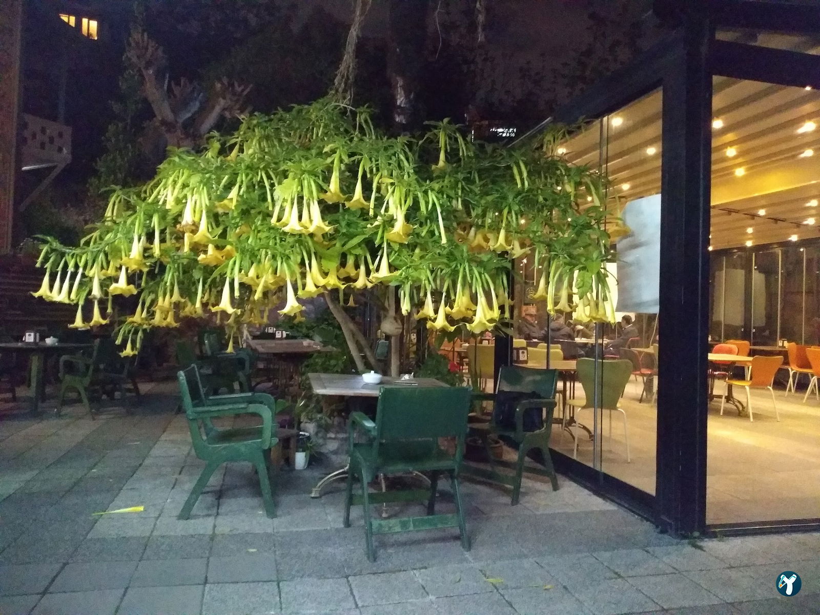 Abbara Coffee