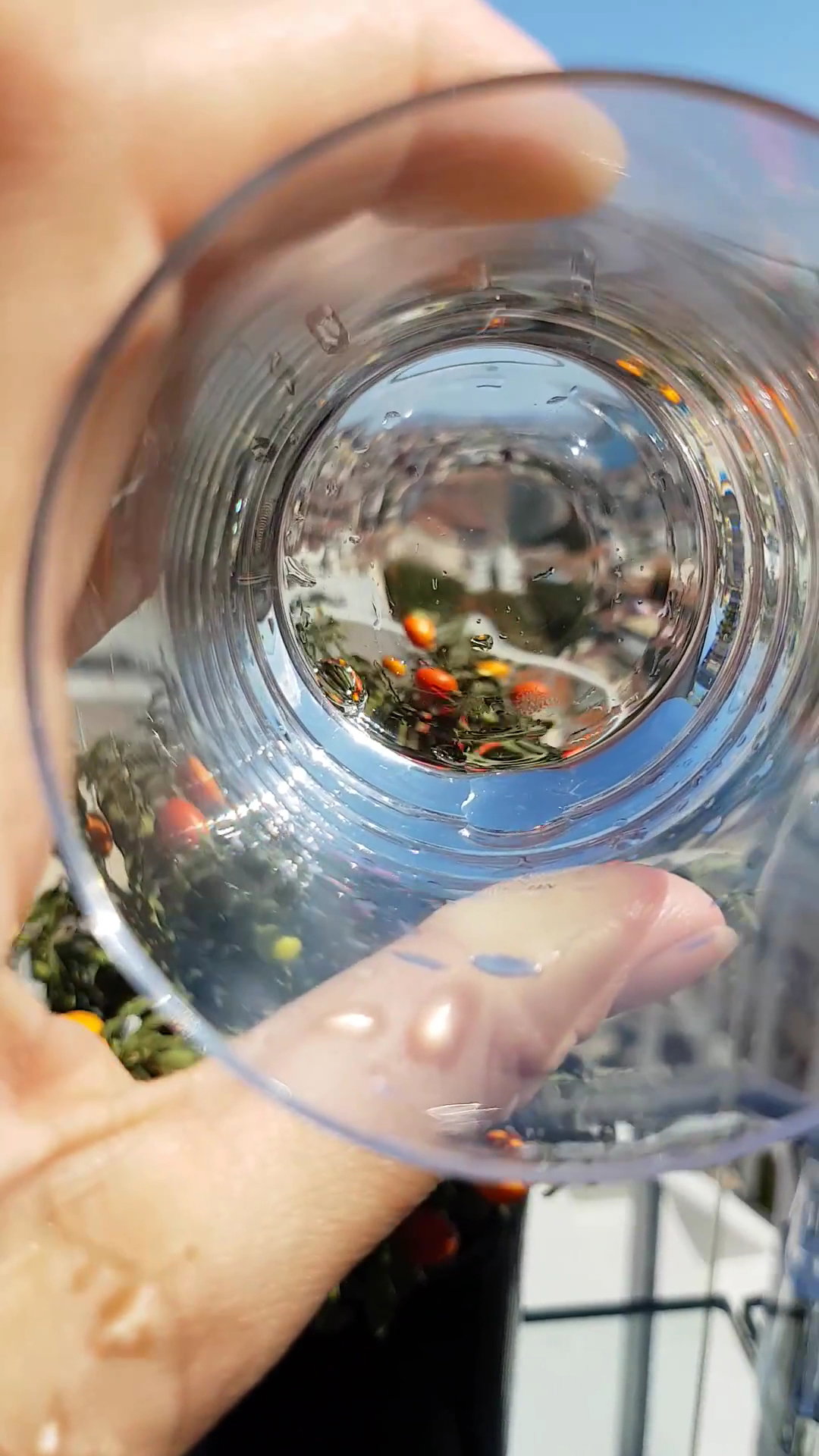 Divan Brasserie Beyoğlu