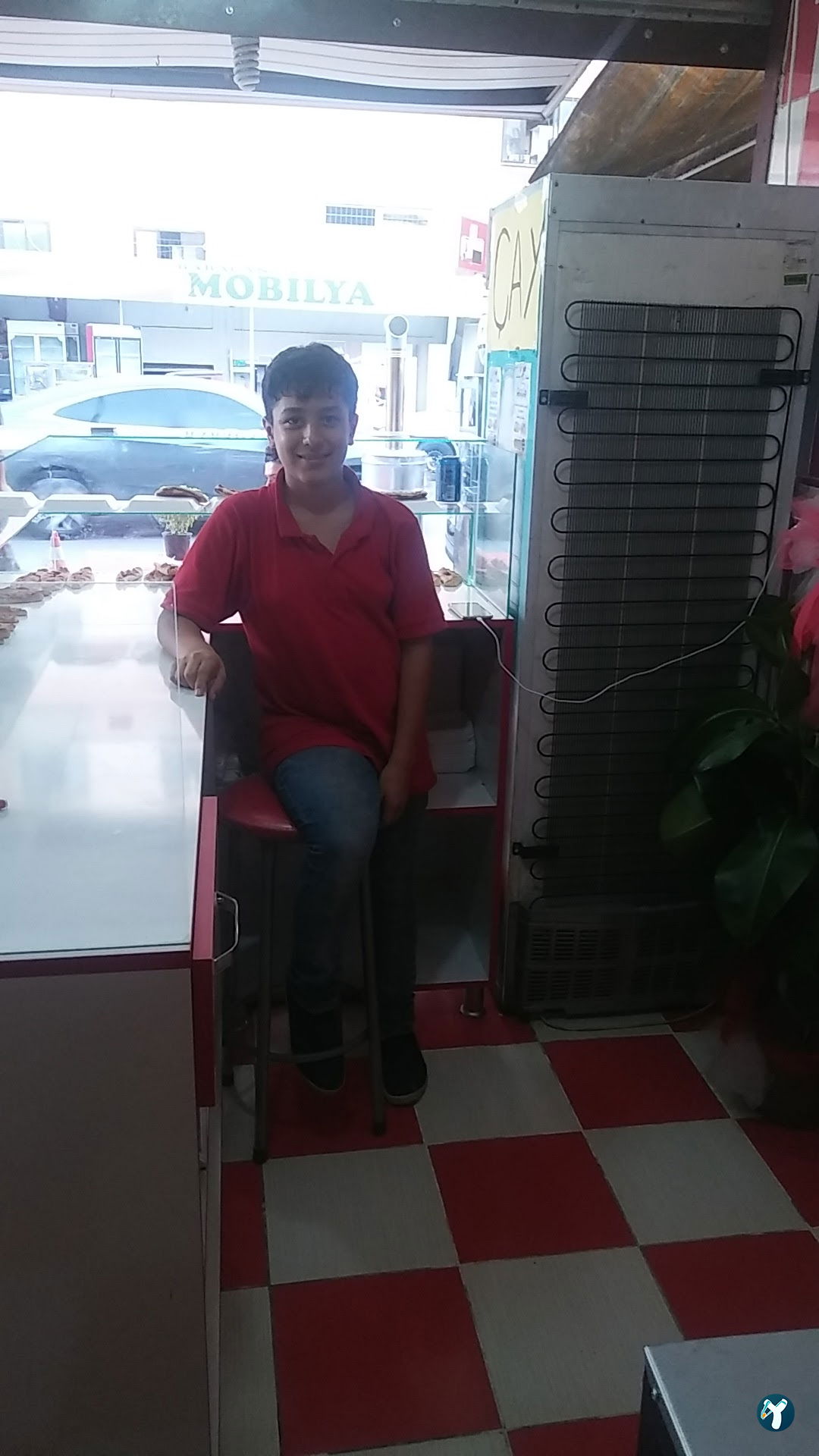 Şehir Böreği