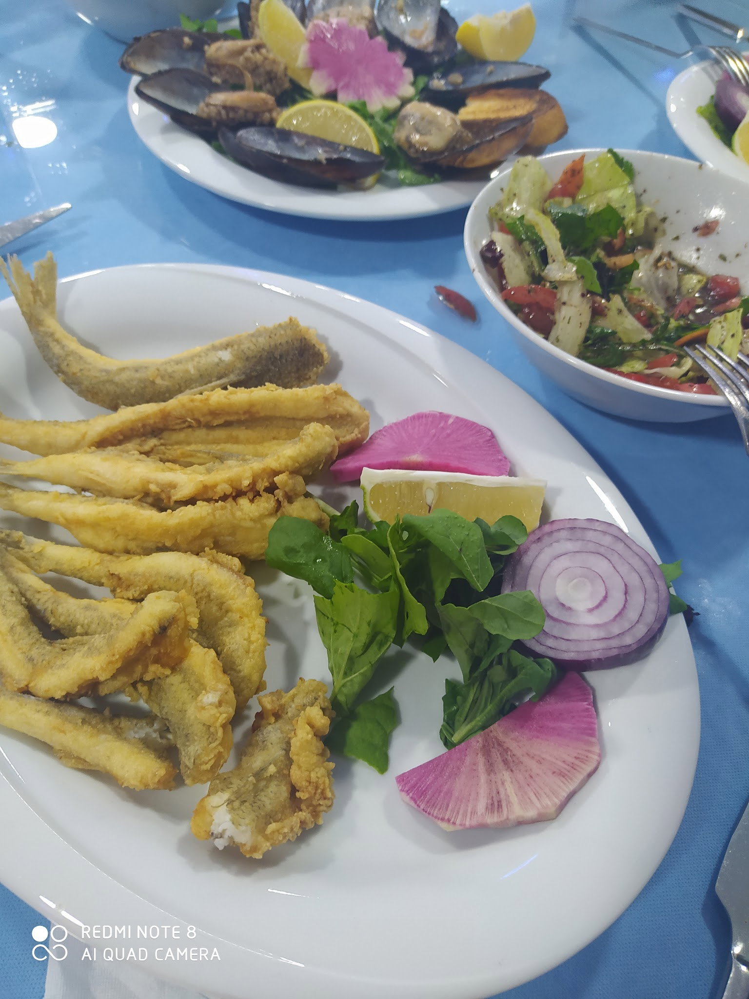 Denizaltı Balık Adana