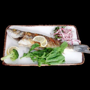 Denizaltı Balık Adana