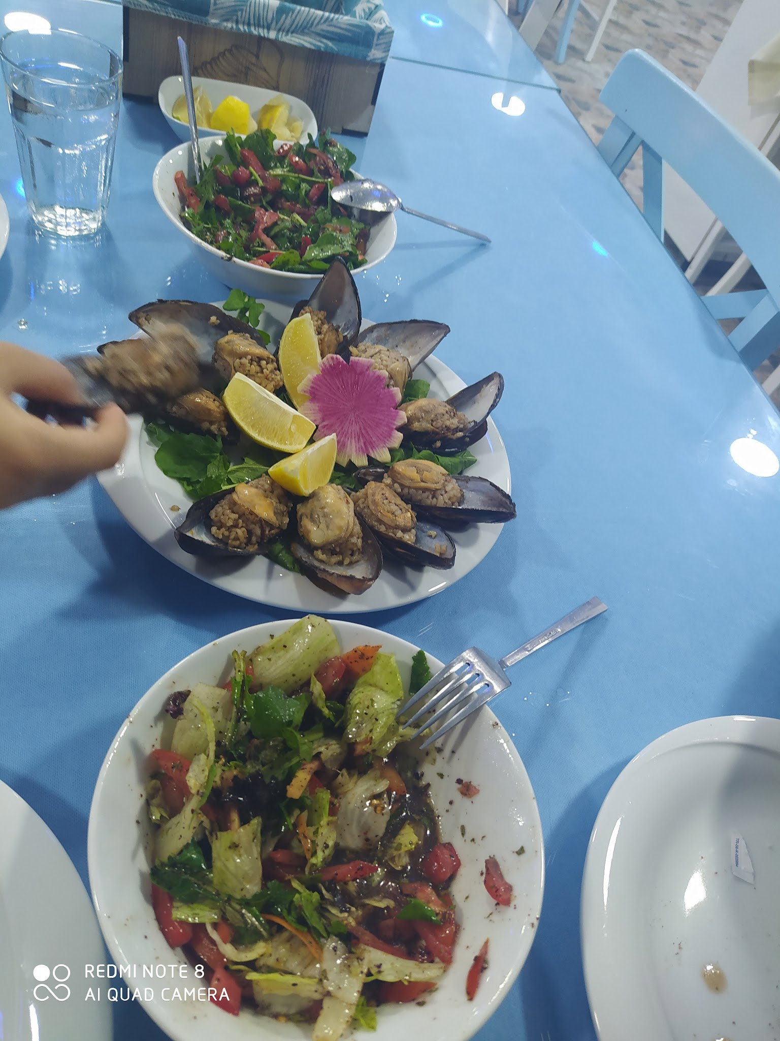 Denizaltı Balık Adana