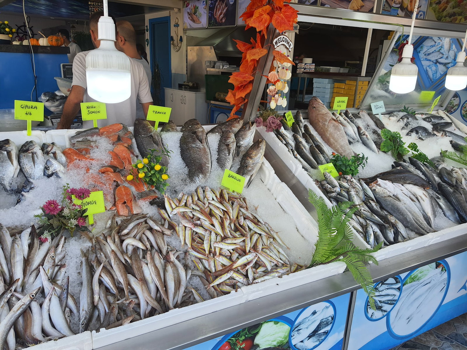 Denizaltı Balık Adana