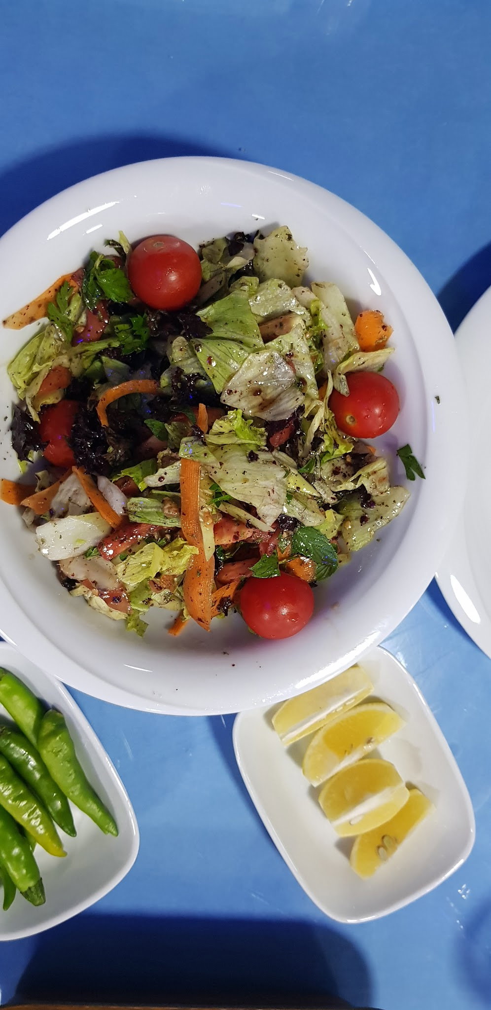 Denizaltı Balık Adana