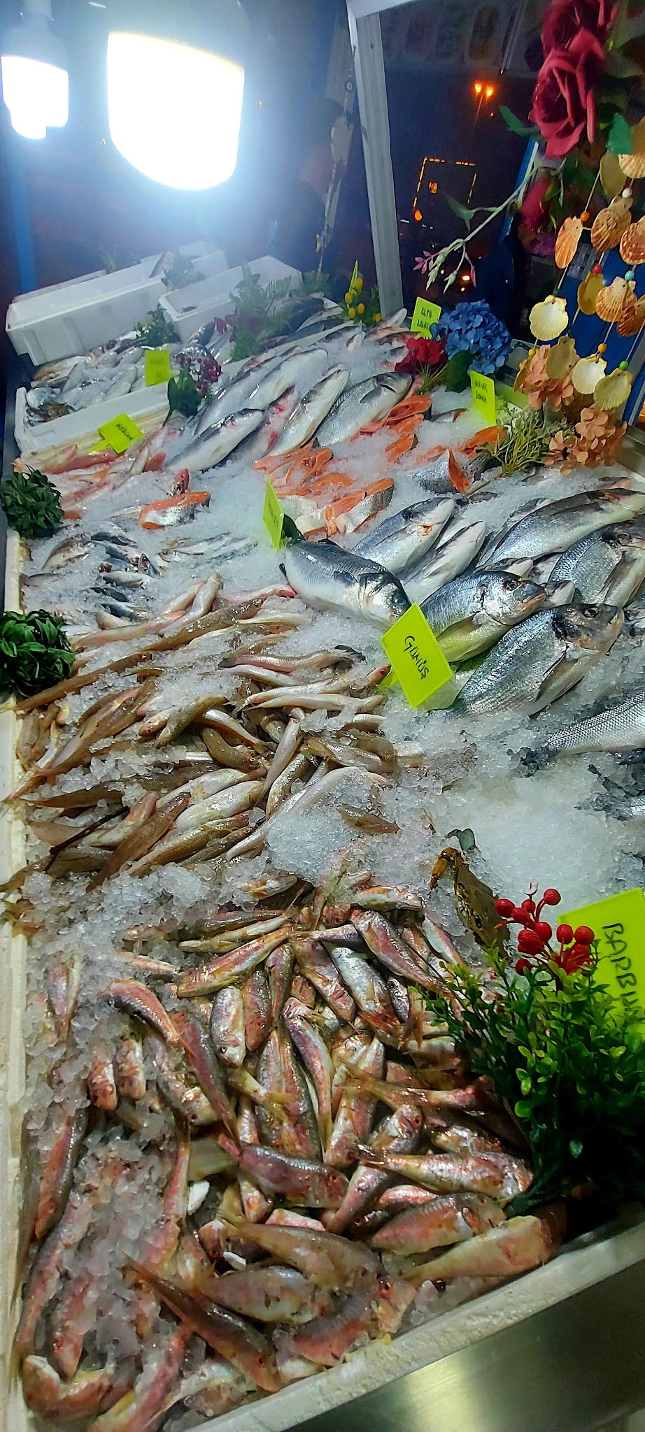 Denizaltı Balık Adana