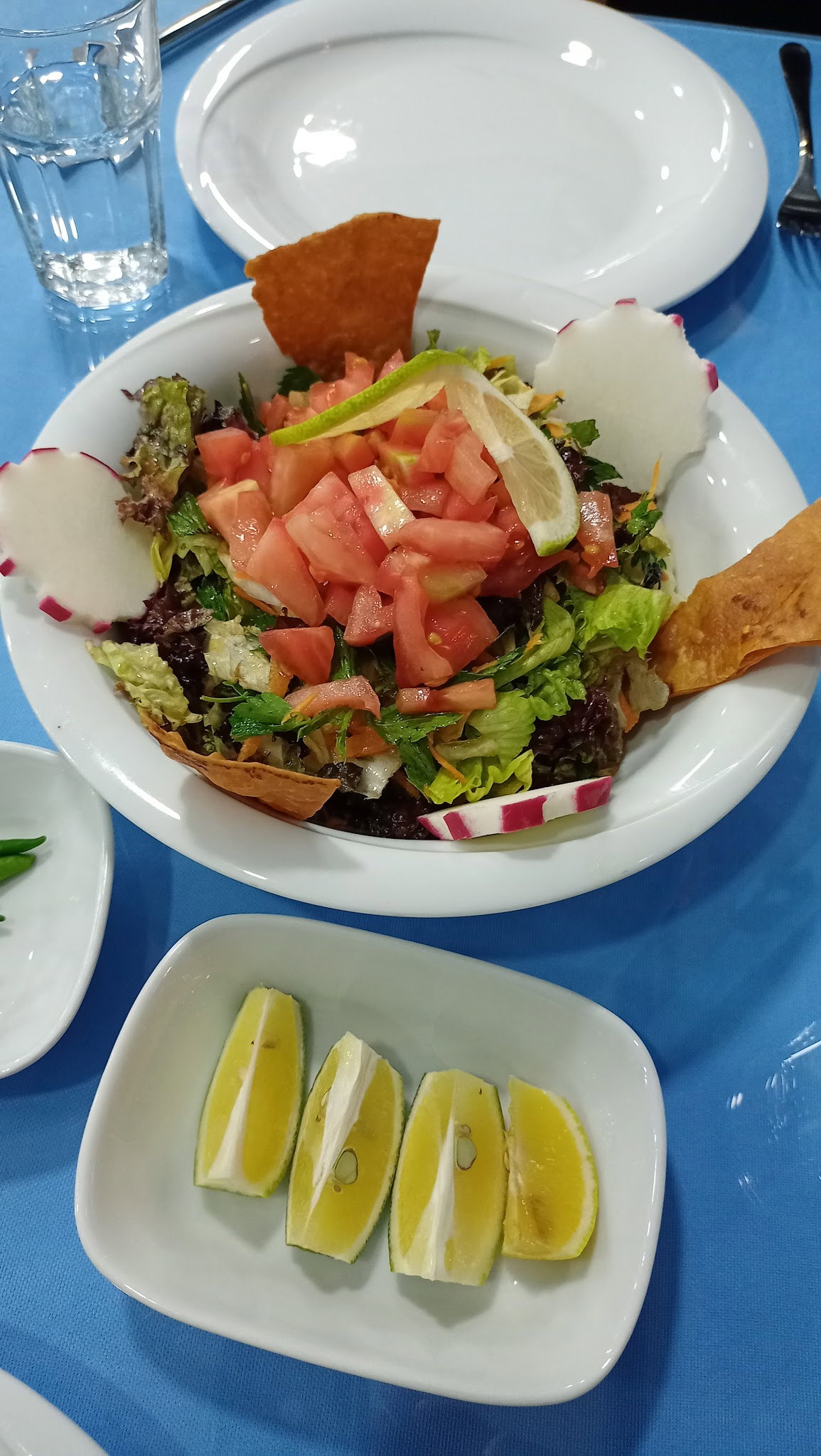 Denizaltı Balık Adana