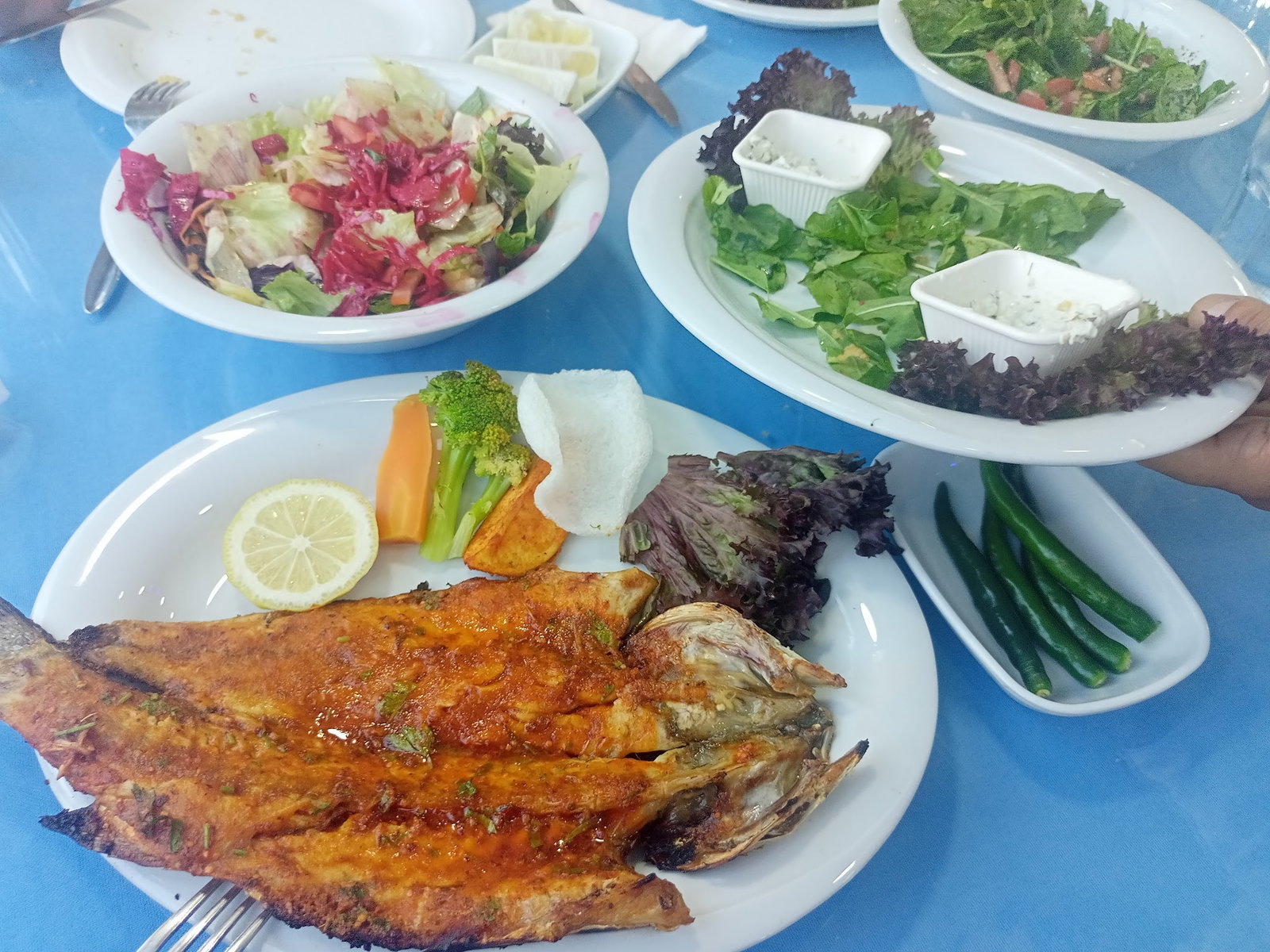 Denizaltı Balık Adana