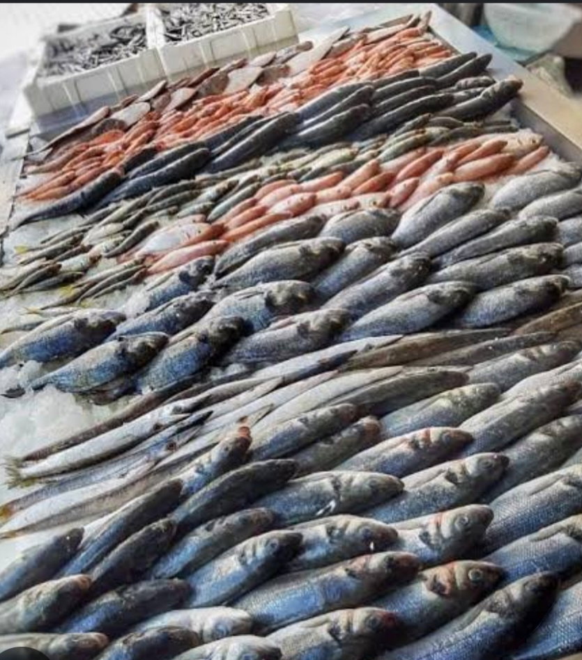 Denizaltı Balık Adana