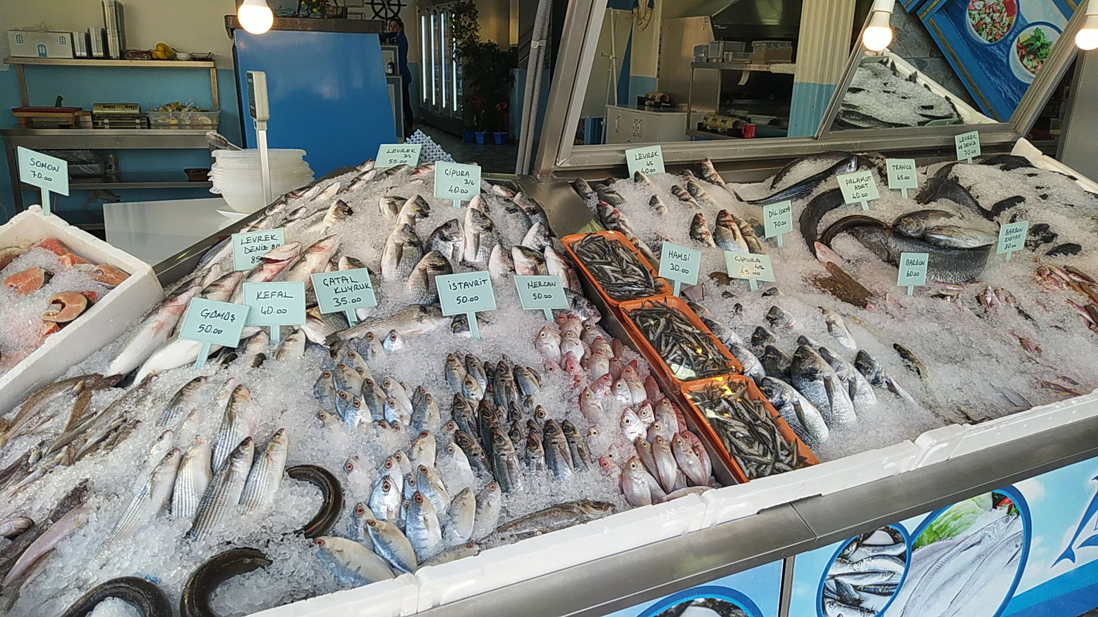 Denizaltı Balık Adana