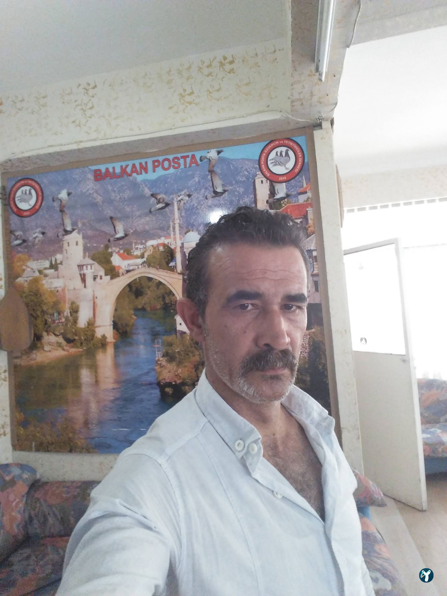 Mola Vitrin