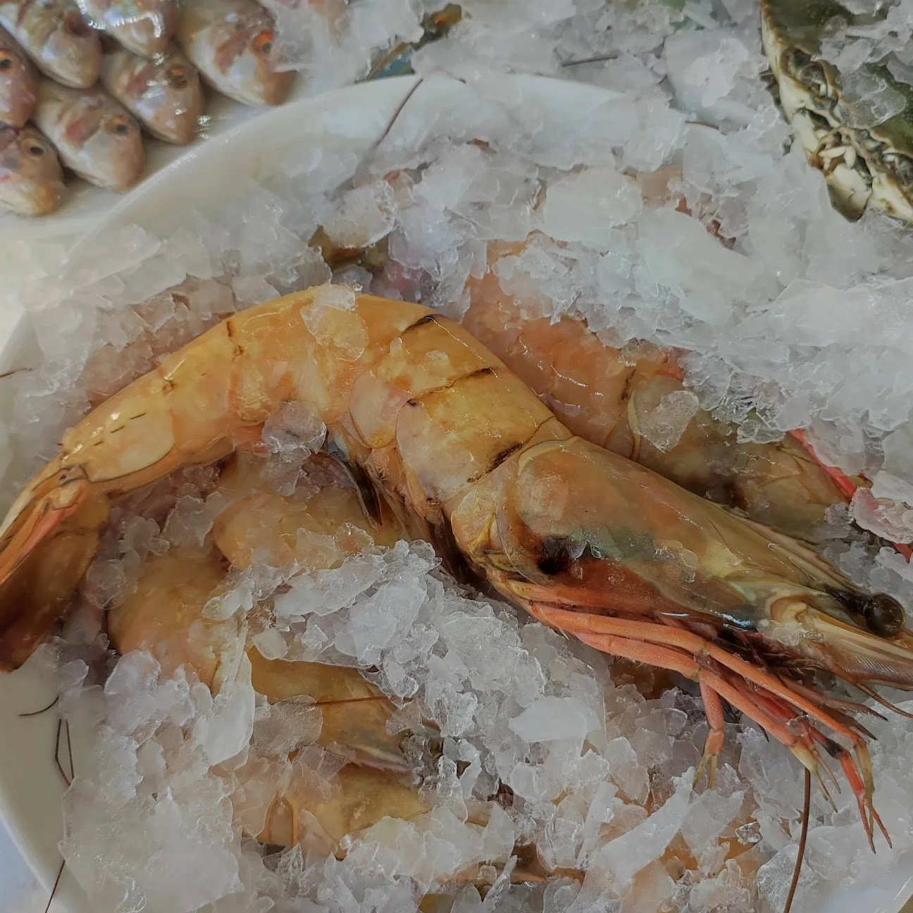 Cadde Balık Restaurant