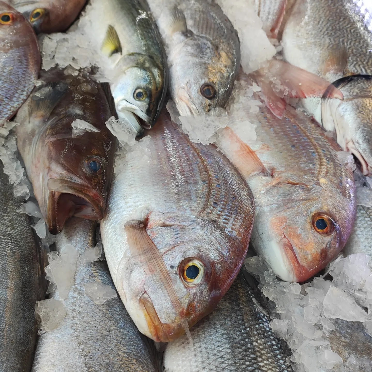 Cadde Balık Restaurant