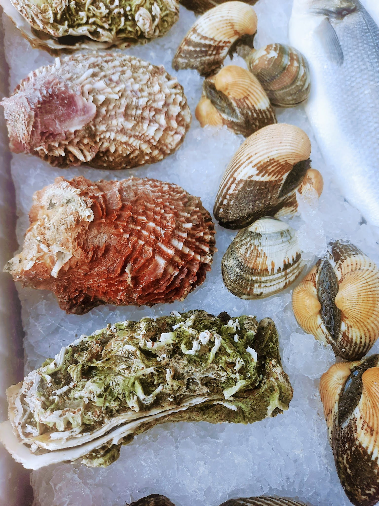 Cadde Balık Restaurant