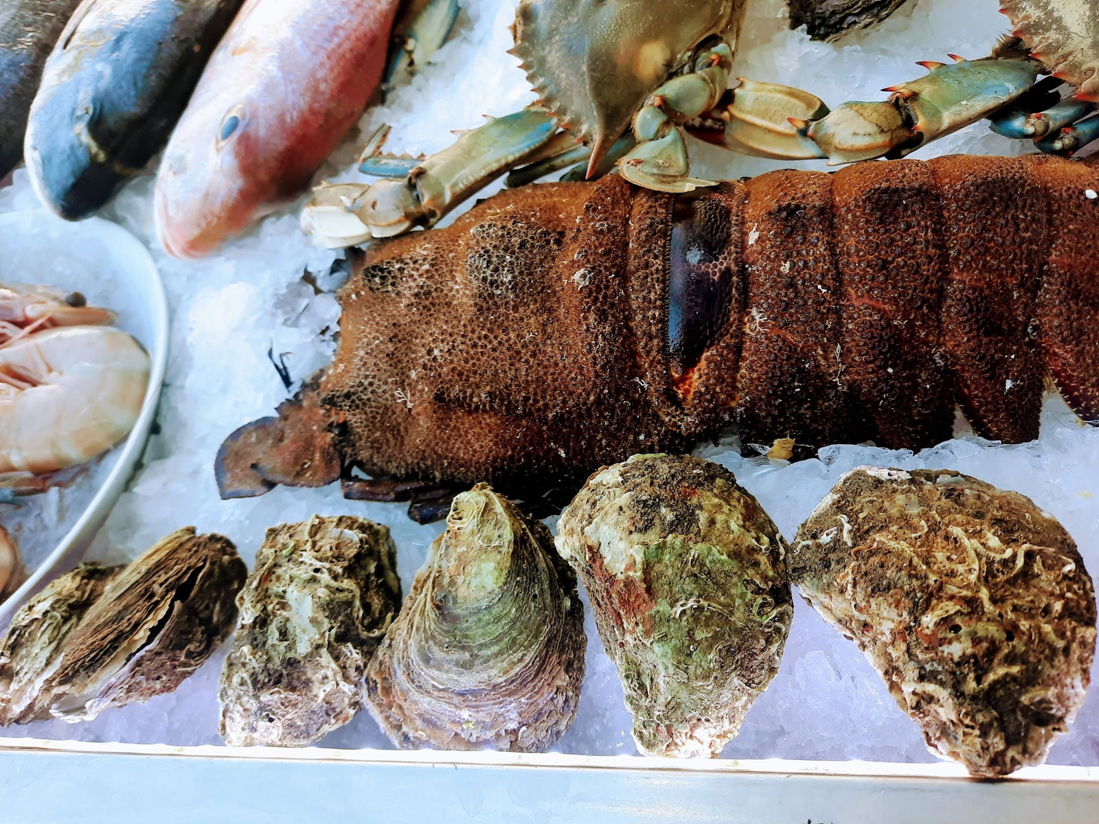 Cadde Balık Restaurant