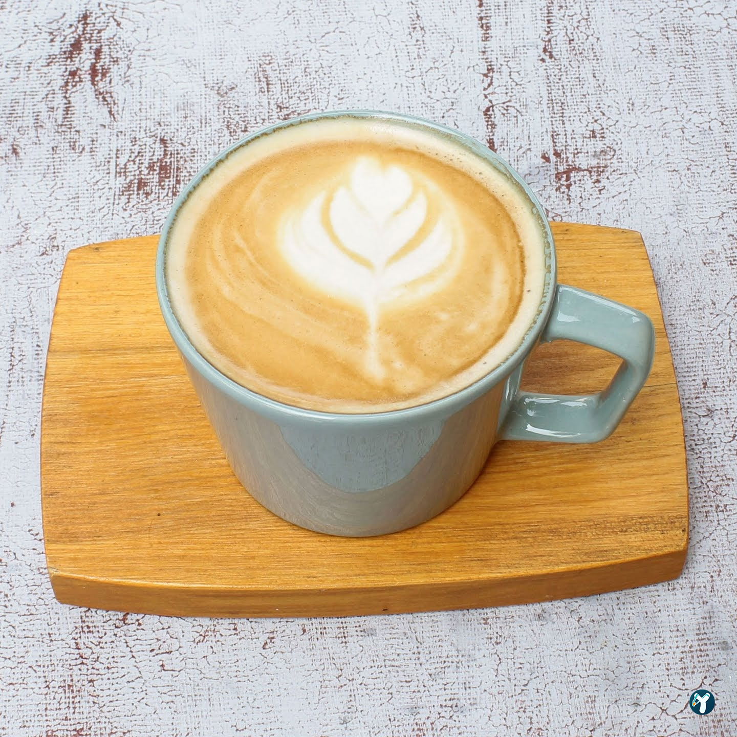 Mackbear Coffee Co. Bağlıca