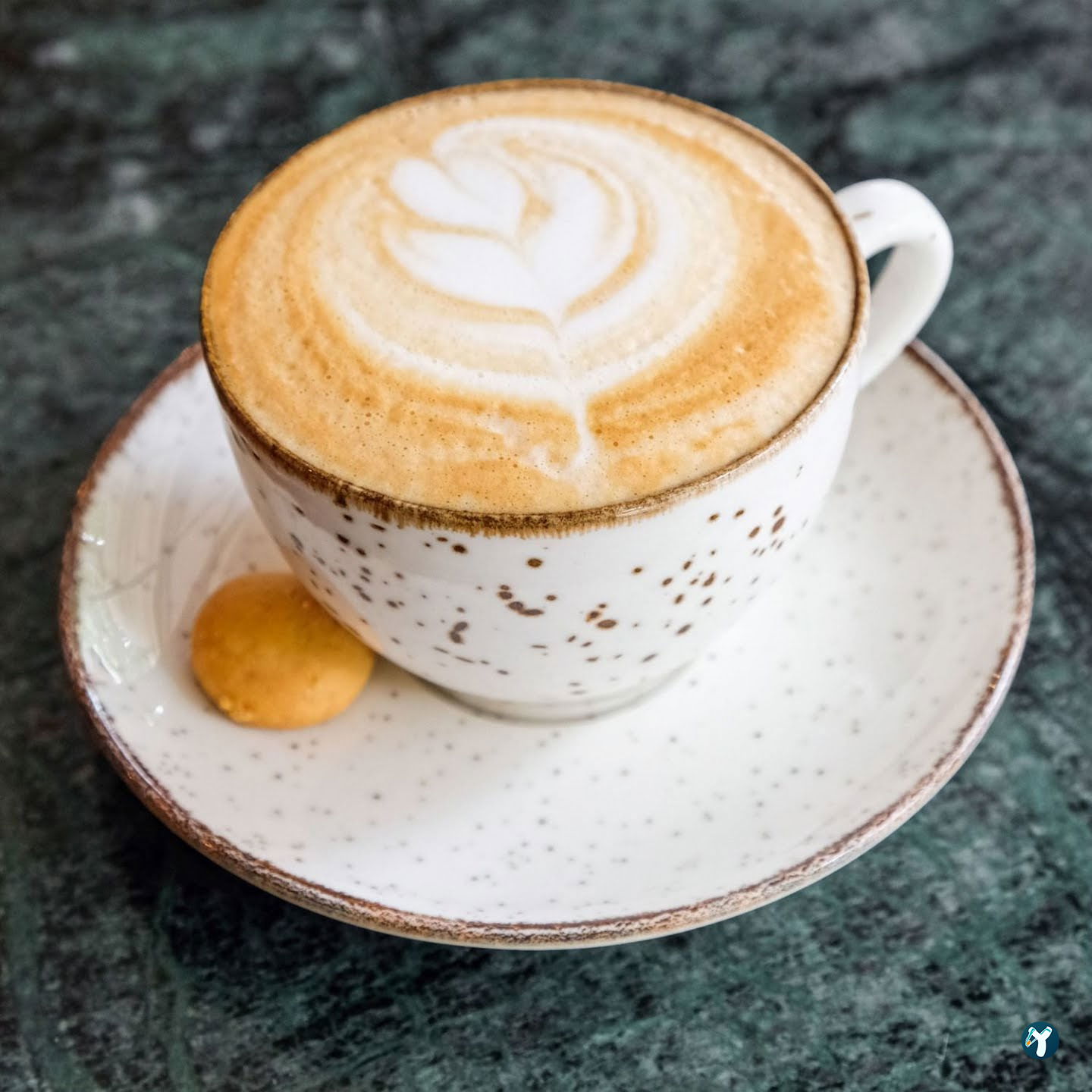 Mackbear Coffee Co. Bağlıca