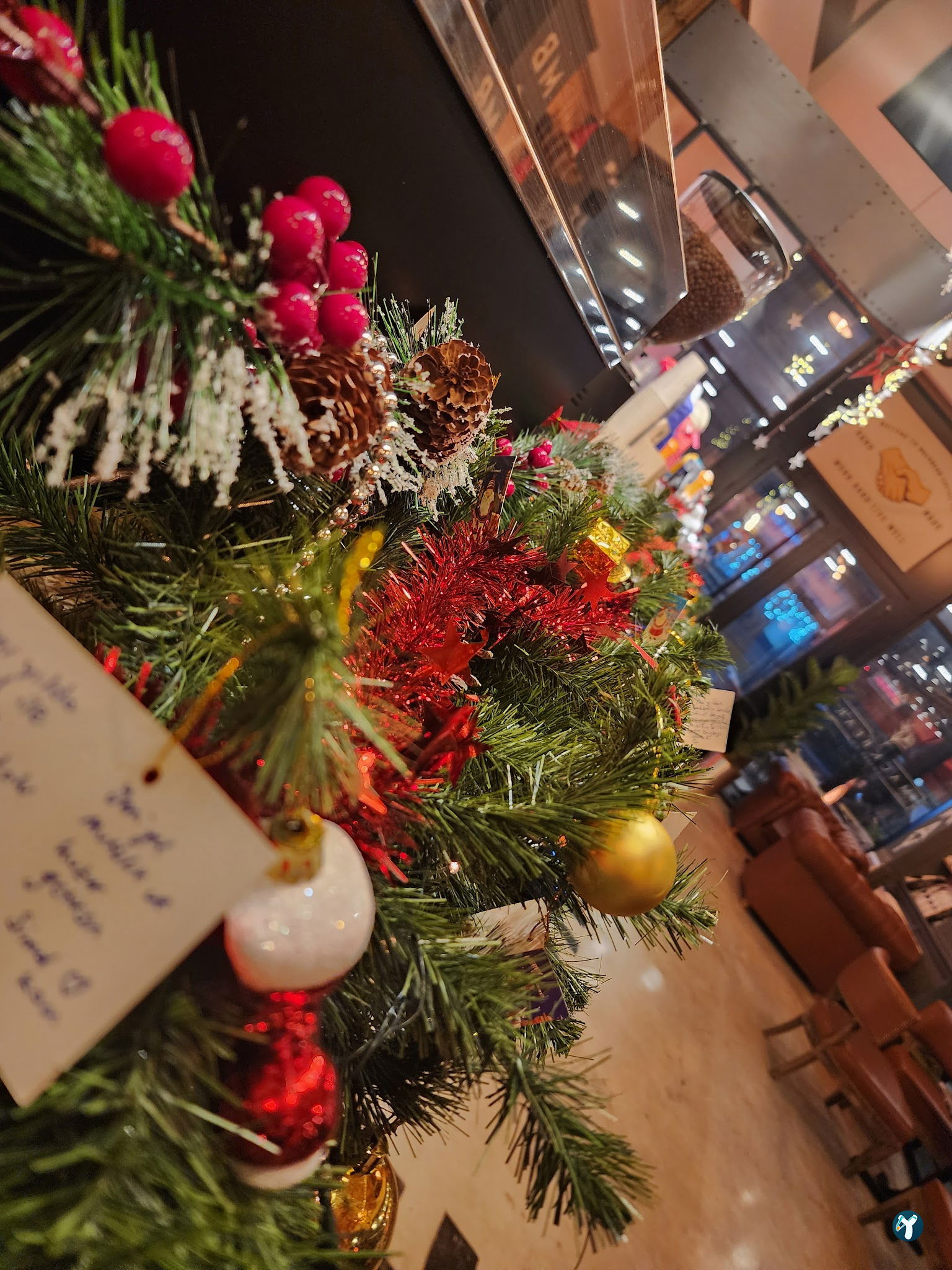 Mackbear Coffee Co. Bağlıca