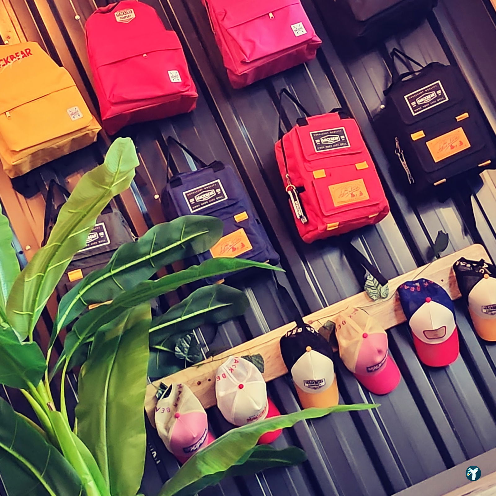 Mackbear Coffee Co. Bağlıca