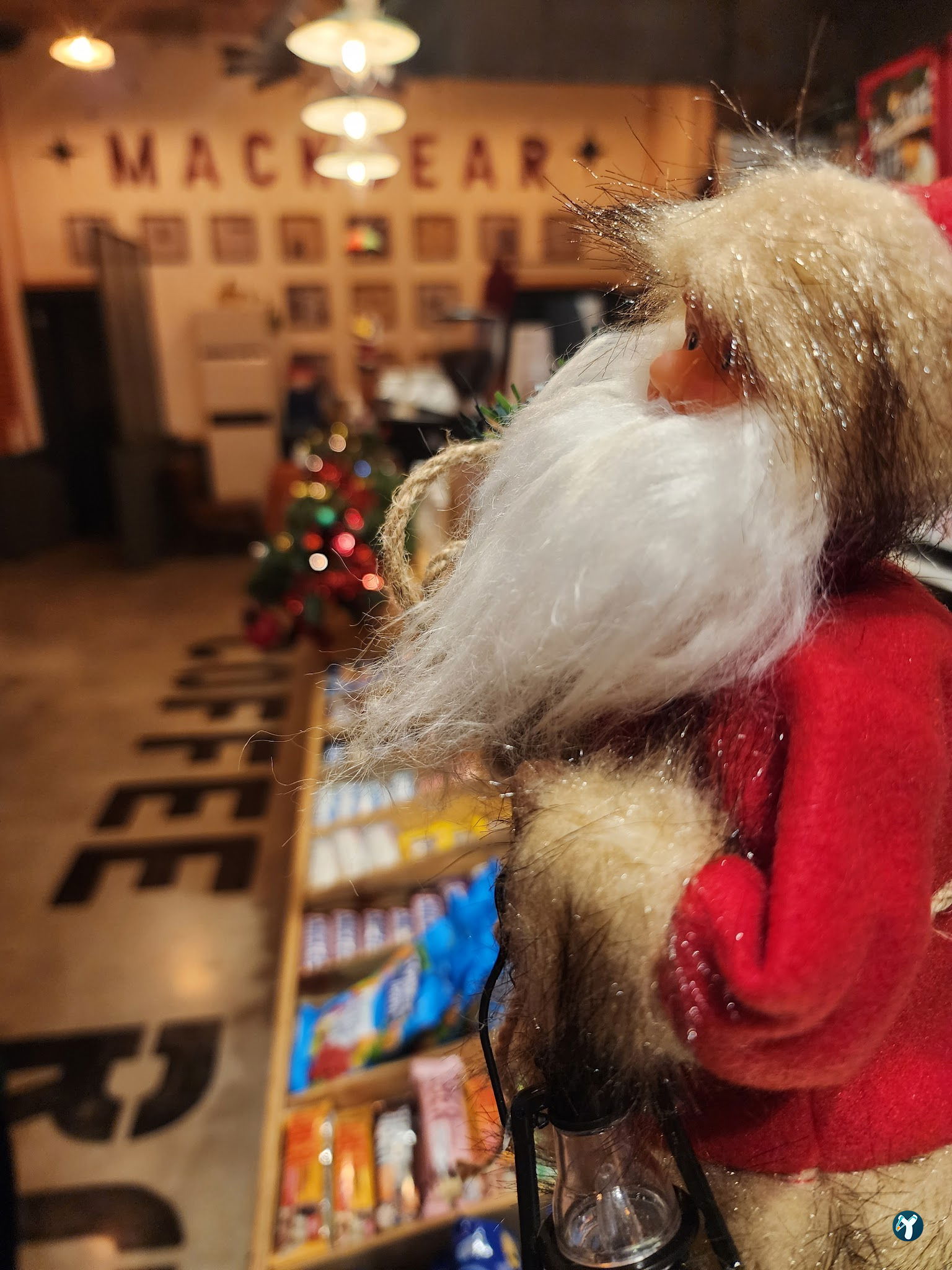 Mackbear Coffee Co. Bağlıca
