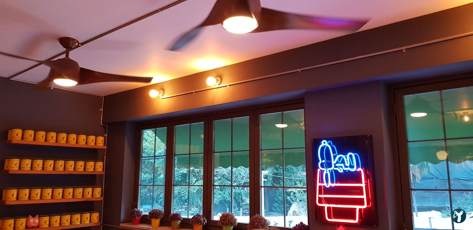Sunday Coffee Bar
