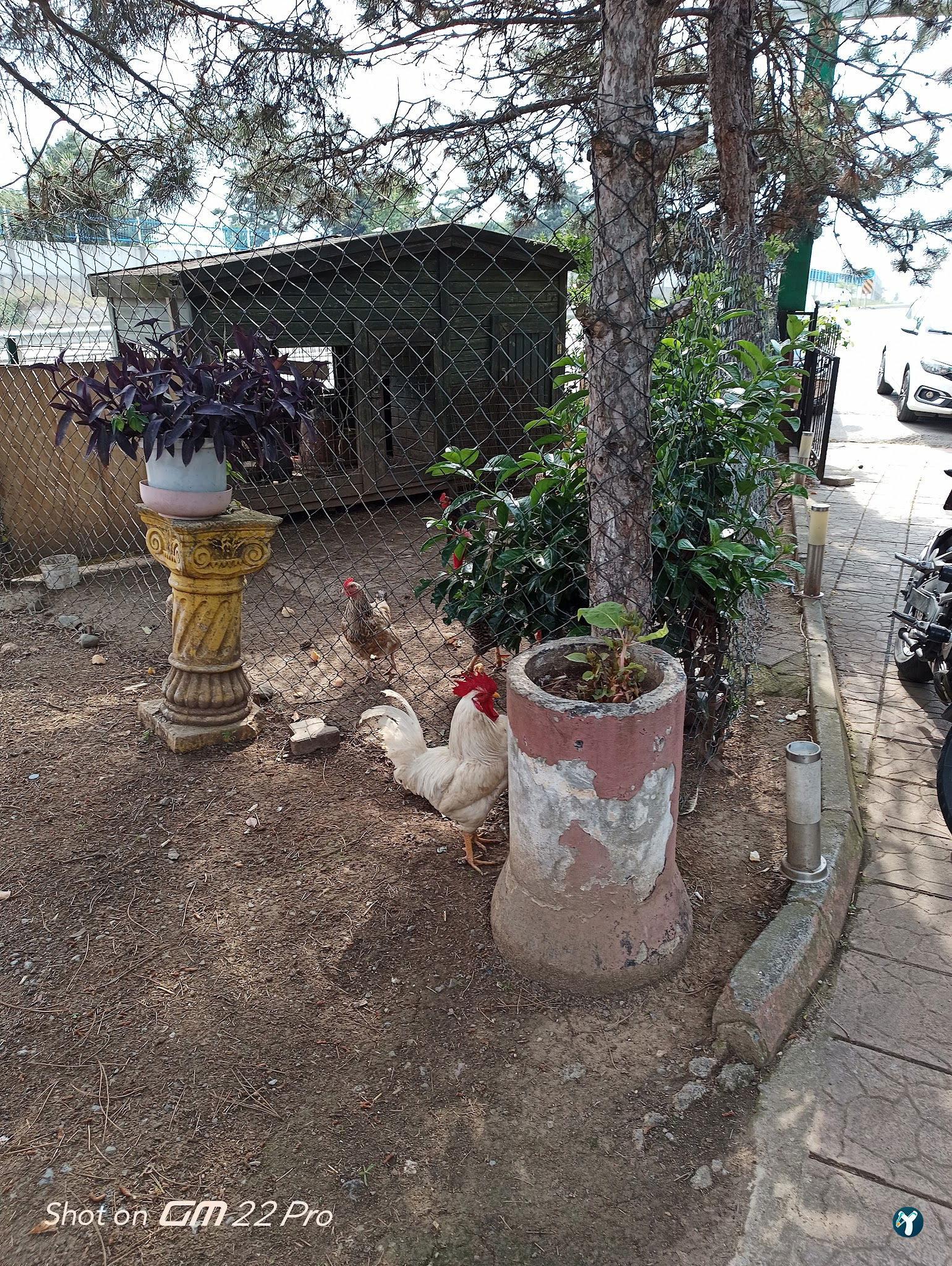 Bağlar Et Mangal Çay Bahçesi