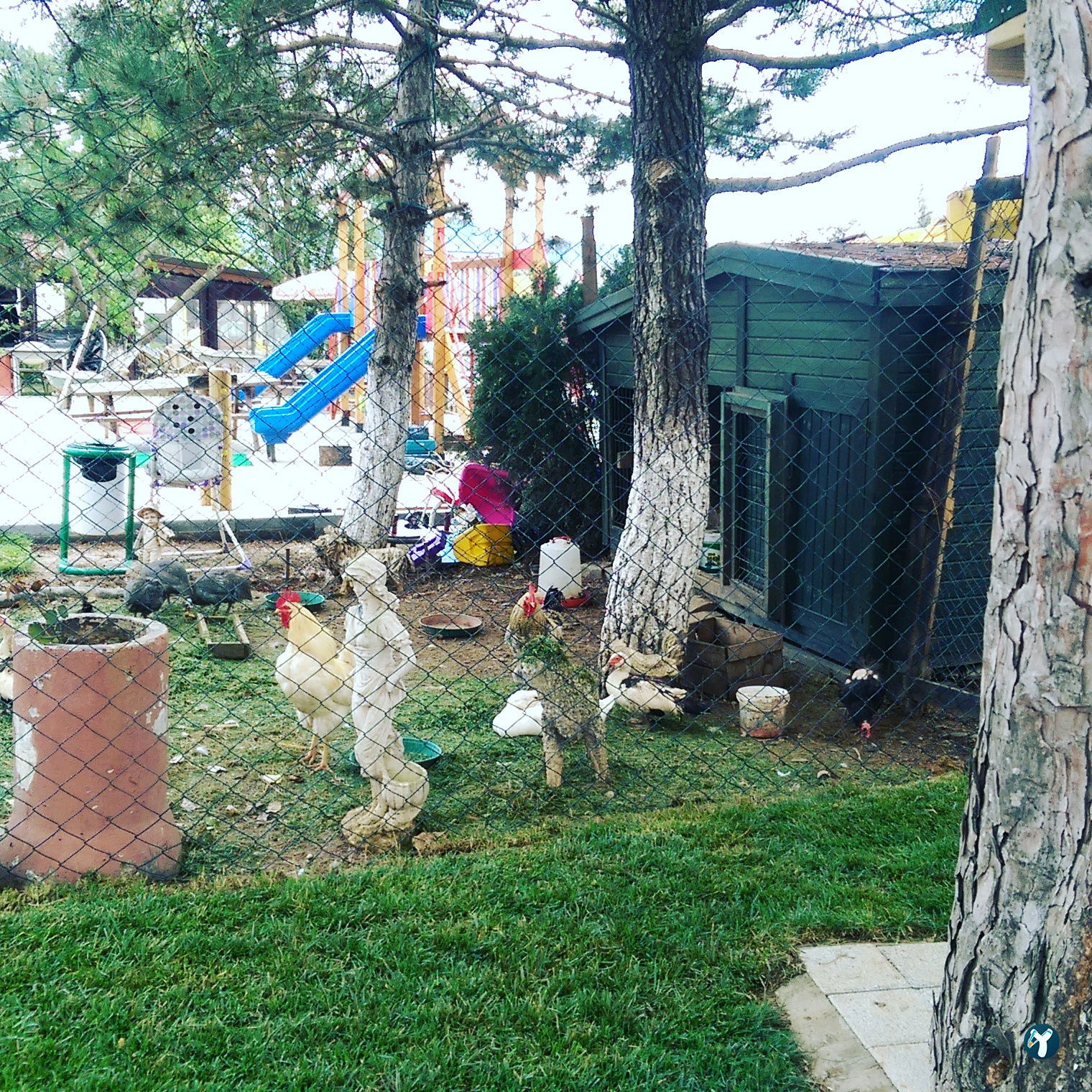 Bağlar Et Mangal Çay Bahçesi