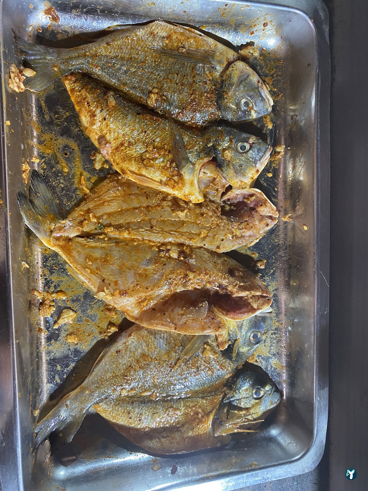 Ala Ocakbaşi