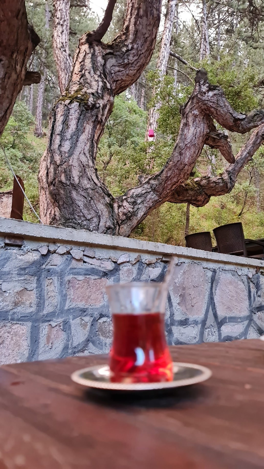 Köfteci̇ Ahmet Kizilcahamam