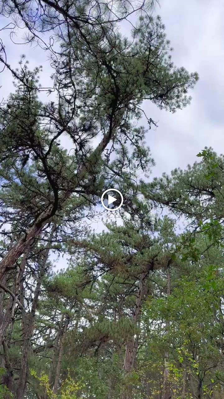 Köfteci̇ Ahmet Kizilcahamam