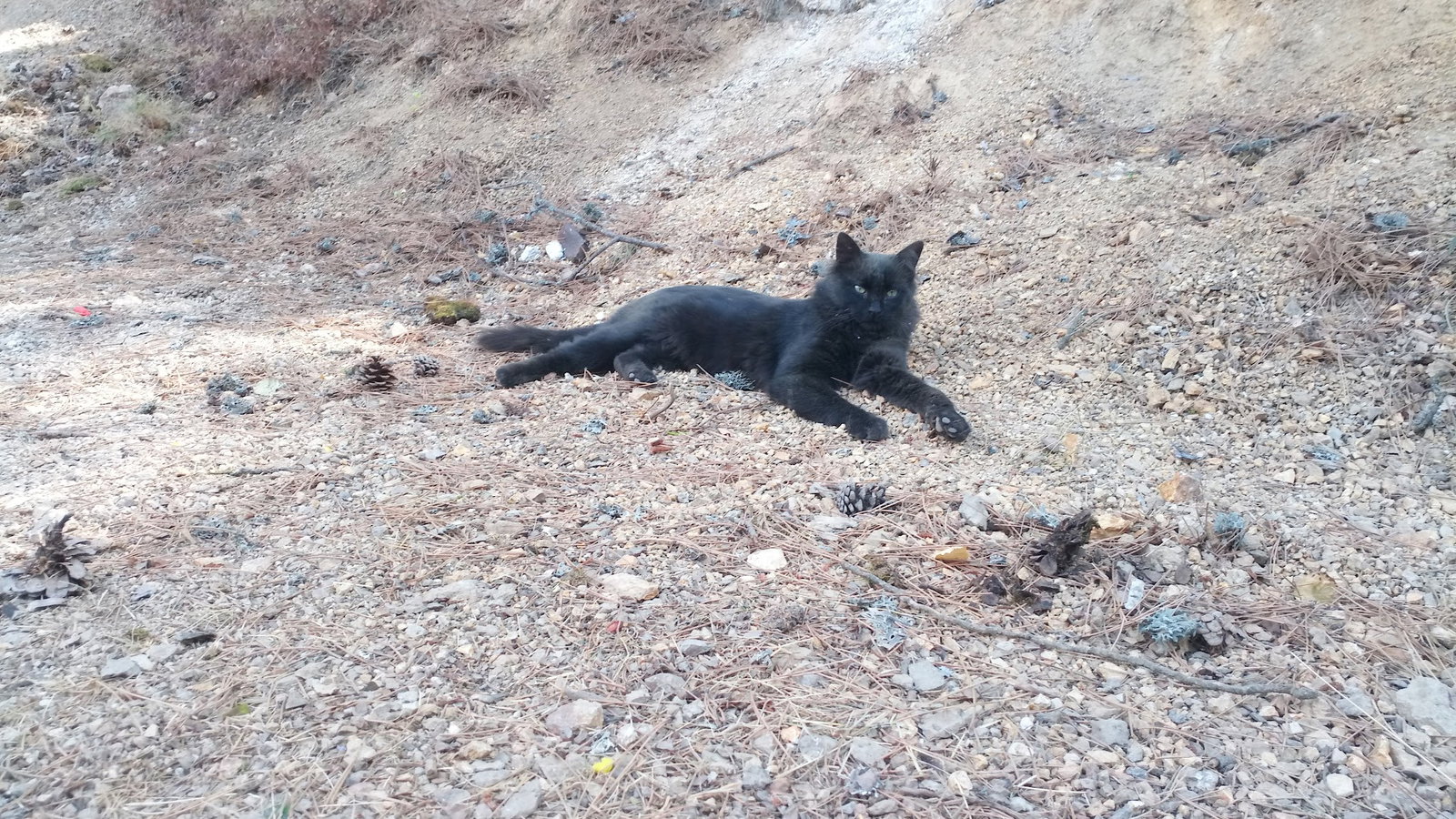 Köfteci̇ Ahmet Kizilcahamam