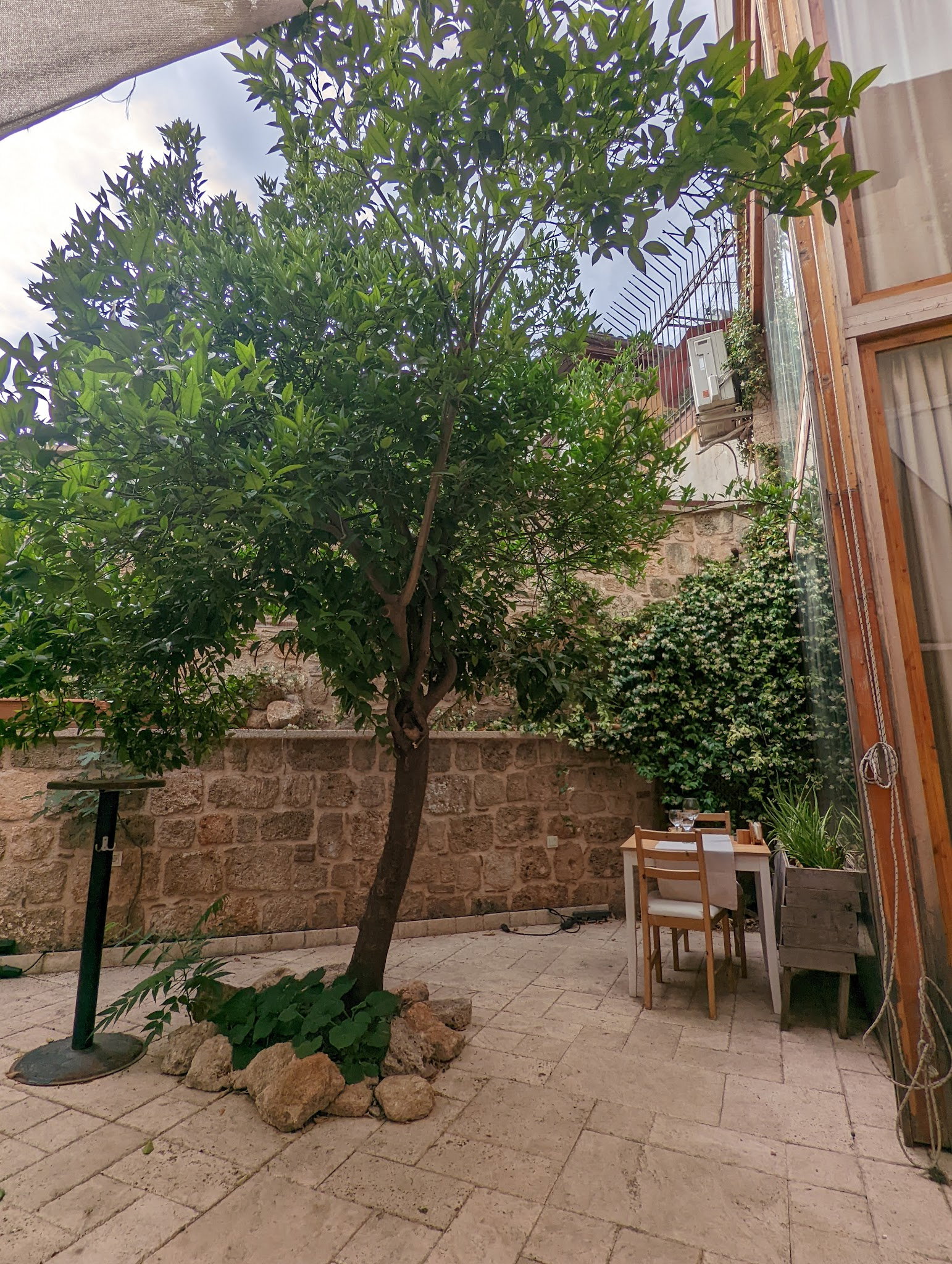 Antique Cafe Restaurant