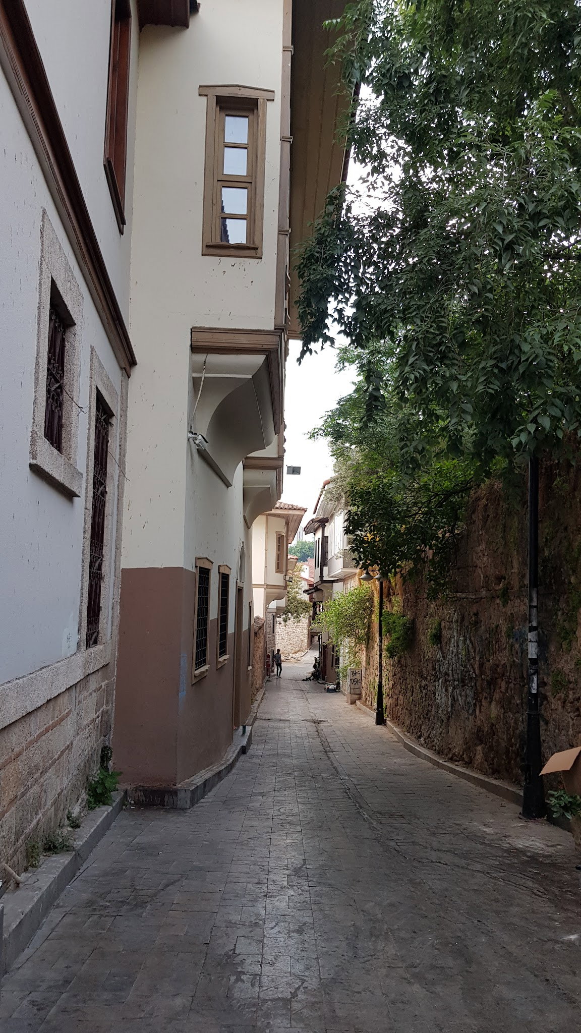 Antique Cafe Restaurant