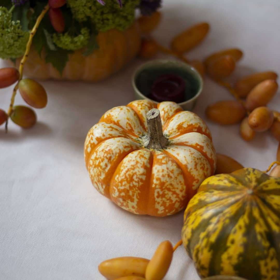 Antique Cafe Restaurant