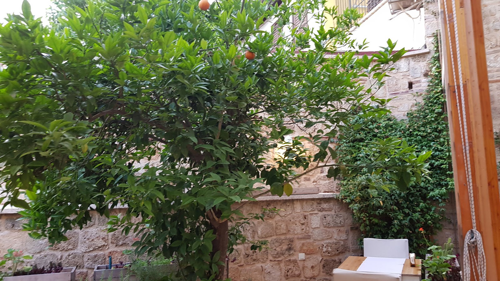 Antique Cafe Restaurant