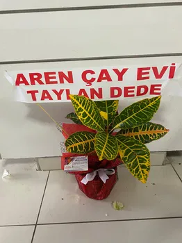 Aren Çay Evi resimleri